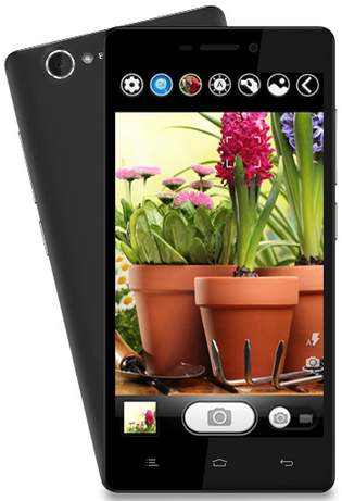Walton Primo HM